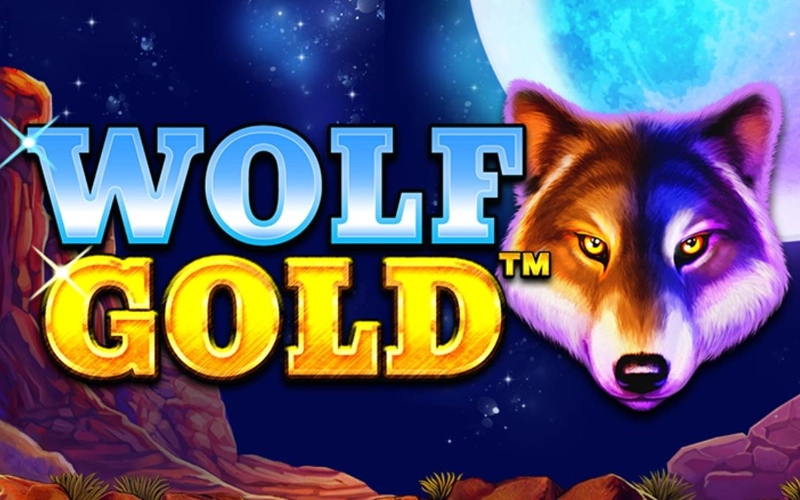 Howl for big wins in the 1xBet Wolf Gold slot, featuring the famous Money Respin feature and three levels of massive jackpots.